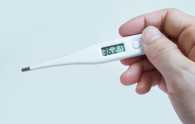 生成AIの時代に思う、体温のある仕事の大切さ