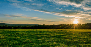 市街化調整区域